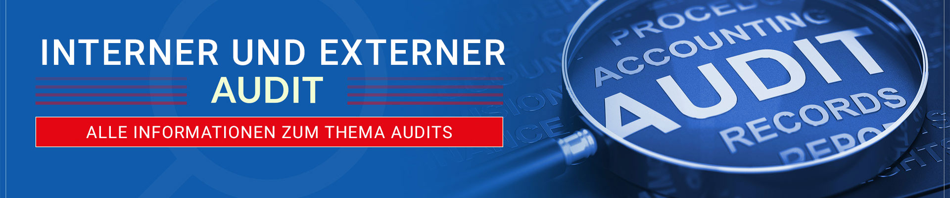 dicis-interner-und-externer-audit-alle-informationen